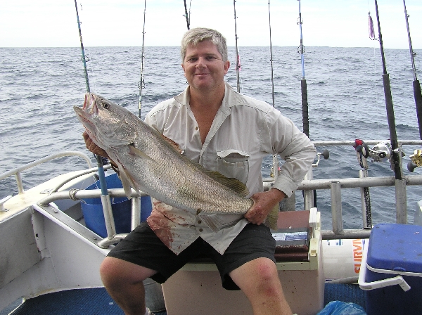 8 kilo mulloway